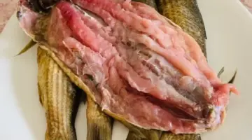 قبل شم النسيم 2026.. تعرف على أسعار الفسيخ والرنجة اليوم الأحد في الأسواق